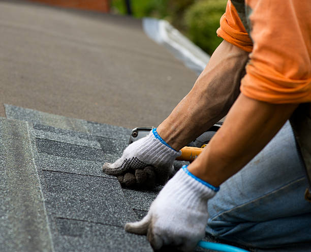 Trusted Dunbar, SC Roofing Contractor Experts